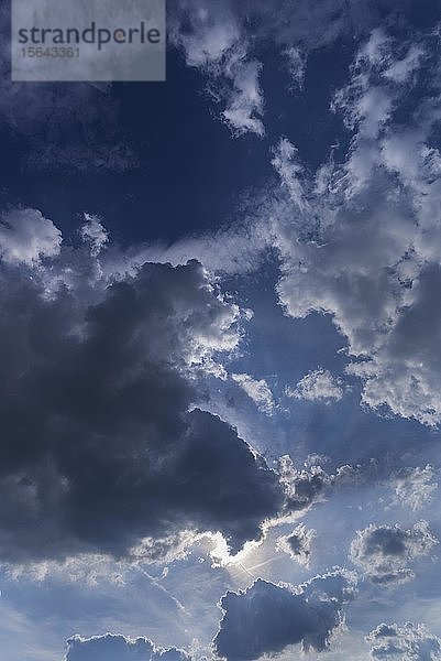 Sonne hinter einer Regenwolke (Nimbostratus)  Bayern  Deutschland  Europa