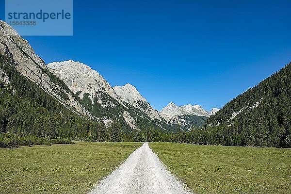 Waldweg im Karwendeltal  Weg zum Karwendelhaus  Tirol  Österreich  Europa