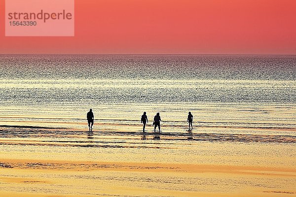 Silhouetten von Menschen am Strand im Wasser bei Sonnenuntergang  Nordsee  Niedersachsen  Deutschland  Europa
