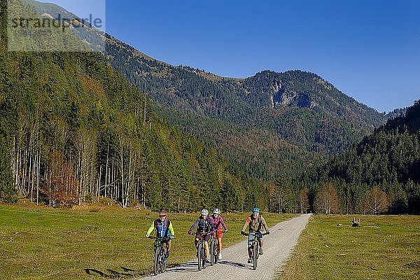 Radfahrer  Mountainbiker auf der Kloaschaualm  Kloo-Ascher Tal  bei Bayrischzell  Oberbayern  Bayern  Deutschland  Europa