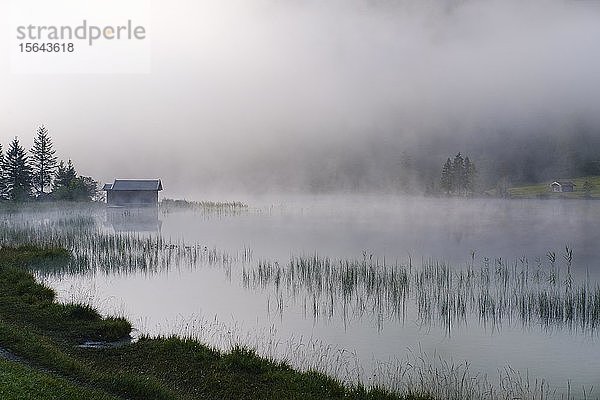 Nebel am Ferchensee  bei Mittenwald  Werdenfelser Land  Wettersteingebirge  Oberbayern  Bayern  Deutschland  Europa