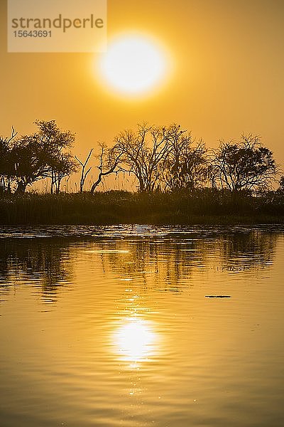 Flusslandschaft im Okavango-Delta bei Sonnenuntergang  Moremi Wildlife Reserve  Ngamiland  Botswana  Afrika