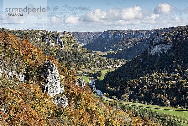 Herbststimmung im Naturpark Obere Donau mit Schloss Werenwag  Baden-Württemberg  Deutschland  Europa