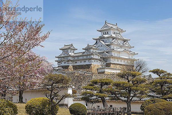 Burg Himeji  Himeji-j?  Shirasagij? oder weiße Reiherburg  Kirschblüte  Himeji  Präfektur Hy?go  Japan  Asien