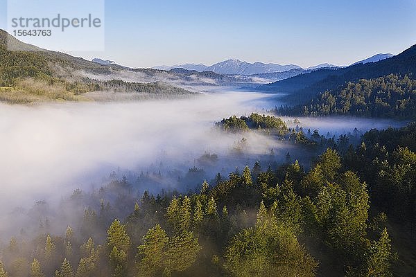 Nebel über Wald am Ferchensee  bei Mittenwald  Luftbild  Werdenfelser Land  Wettersteingebirge  Oberbayern  Bayern  Deutschland  Europa