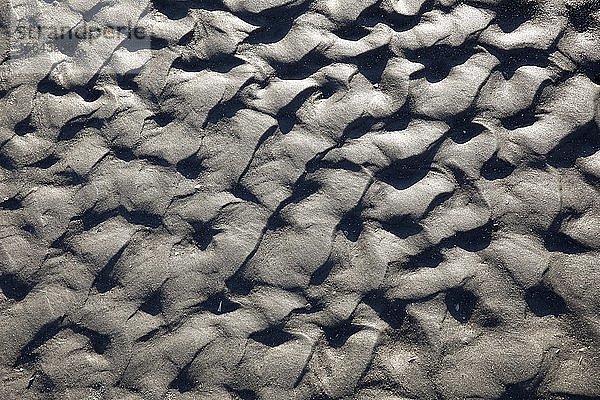 Wellen im Sand im Wattenmeer bei Ebbe  Nordseeküste  Schleswig-Holstein  Deutschland  Europa