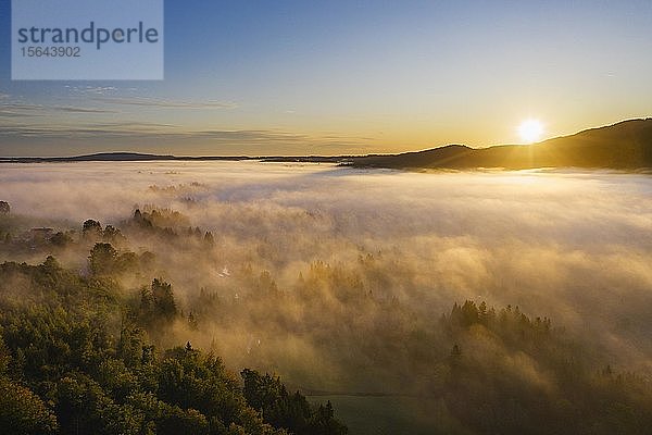 Sonnenaufgang mit Bodennebel über Attenloher Filzen bei Gaißach  Isarwinkel  Luftbild  Oberbayern  Bayern  Deutschland  Europa