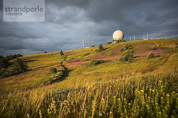 Wasserkuppe  Radom  Naturpark Hessische Rhön  Hessen  Deutschland  Europa