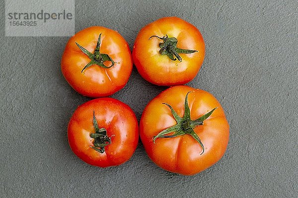 Frische reife Tomaten  Mauritius  Afrika