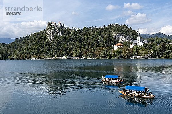 Bleder See  mit Burg und Kirche von Bled  Bled  Region Oberkrain  Slowenien  Europa