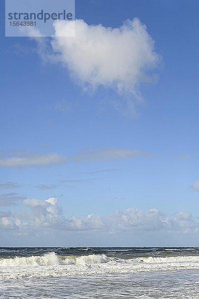 Wellen am Sandstrand  blauer Himmel mit Kumuluswolken (Cumulus) über der Nordsee  Wenningstedt  Sylt  Nordfriesische Insel  Nordfriesland  Schleswig-Holstein  Deutschland  Europa