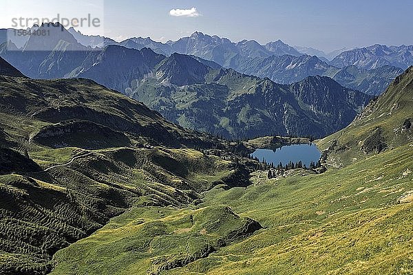 Blick auf den Seealpsee und die Allgäuer Alpen  Nebelhorn  Oberstdorf  Oberallgäu  Allgäu  Bayern  Deutschland  Europa