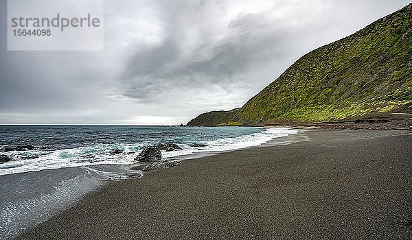 Küste mit schwarzem Sandstrand  Red Rocks Walkway  Owhiro Bay  Wellington  Nordinsel  Neuseeland  Ozeanien