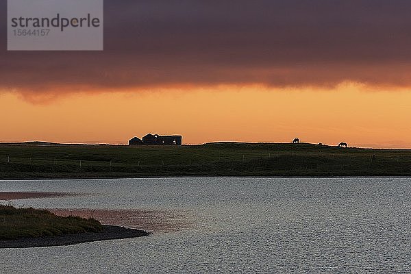 Sonnenuntergang  hinter Pferden und Hausruine  bei Grundarfjördur  Halbinsel Snaefellsnes  Island  Europa