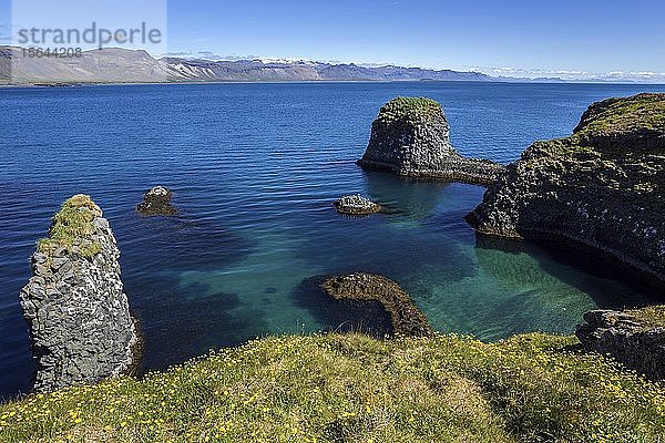 Steilküste  Basaltküste bei Arnarstapi  hinter den Bergen der Halbinsel Snæfellsness  Island  Europa