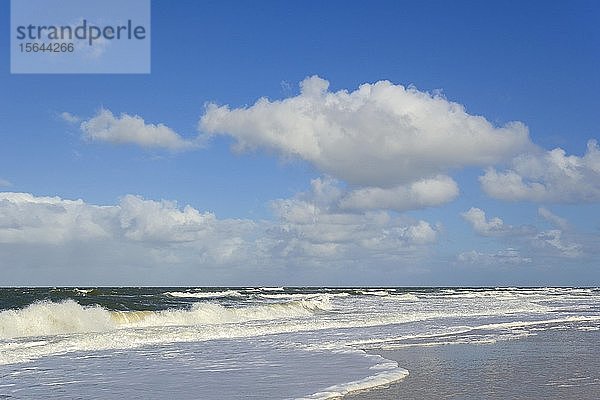 Auslaufende Wellen am Sandstrand  blauer Himmel mit tiefziehenden Kumuluswolken (Cumulus) über der Nordsee  Kampen  Sylt  Nordfriesische Inseln  Nordfriesland  Schleswig-Holstein  Deutschland  Europa
