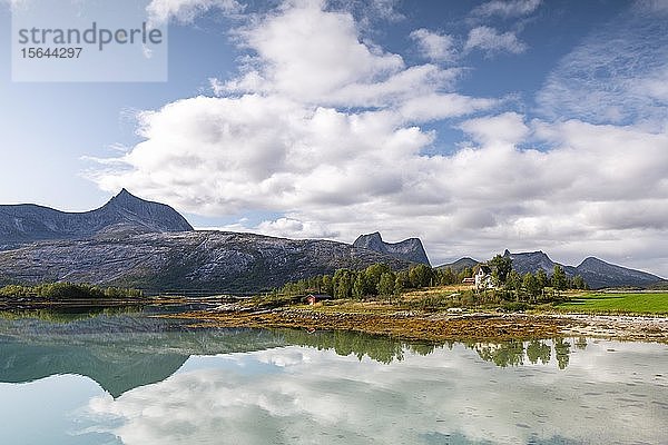 Berge und Landschaft spiegeln sich im Fjord  Tysfjord  Ofoten  Nordland  Norwegen  Europa