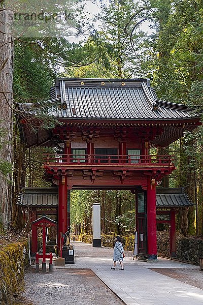 Eingangstor in Nikk? Futarasan-Schrein  Heiligtümer und Tempel von Nikko  UNESCO-Weltkulturerbe  Nikko  Japan  Asien