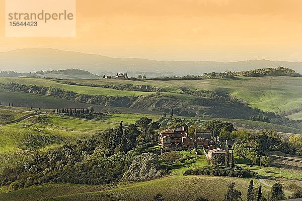 Hügellandschaft  Crete Senesi  Toskana  Italien  Europa