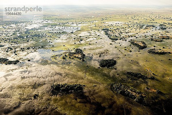 Luftaufnahme  Sumpfgebiet  Okavango-Delta  Botswana  Afrika