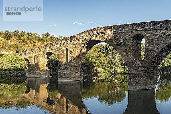 Romanische Brücke über den Fluss Arga  Puente La Reina  Navarra  Spanien  Europa
