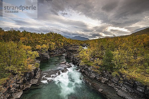 Herbstliche Abisko-Schlucht  Abiskojokk-Fluss  Abiskojokk  Abisko-Nationalpark  Norrbotten  Lappland  Schweden  Europa