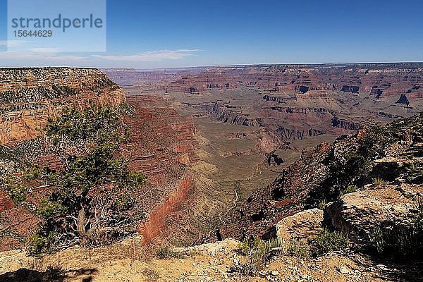 Canyonlandschaft  South Rim  Grand Canyon  Grand Canyon National Park  Arizona  USA  Nordamerika