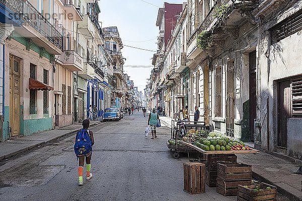 Straßenszene  Havanna  Kuba  Mittelamerika