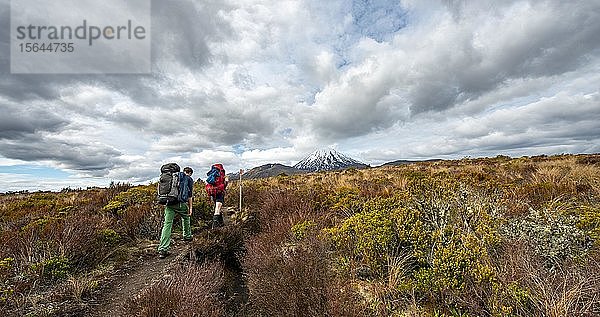 Wanderer auf dem Wanderweg Tongariro Northern Circuit  Great Walk  Vulkan Mount Tongariro und Mount Ngauruhoe  Tongariro National Park  Nordinsel  Neuseeland  Ozeanien