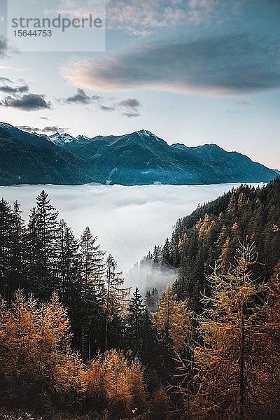 Ötztal im Herbst  Tirol  Österreich  Europa