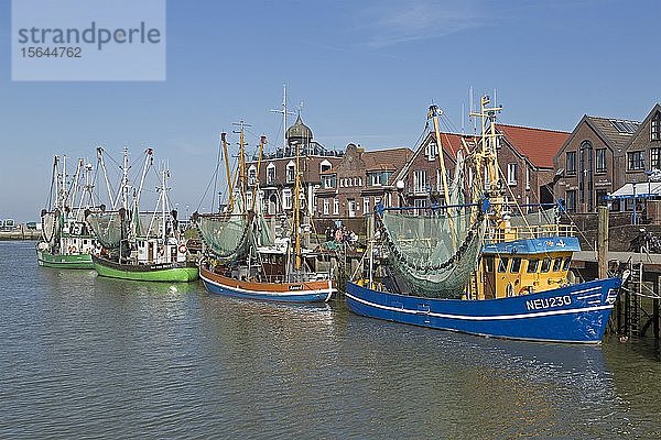 Bunte Krabbenkutter im Fischereihafen  Neuharlingersiel  Ostfriesland  Niedersachsen  Deutschland  Europa