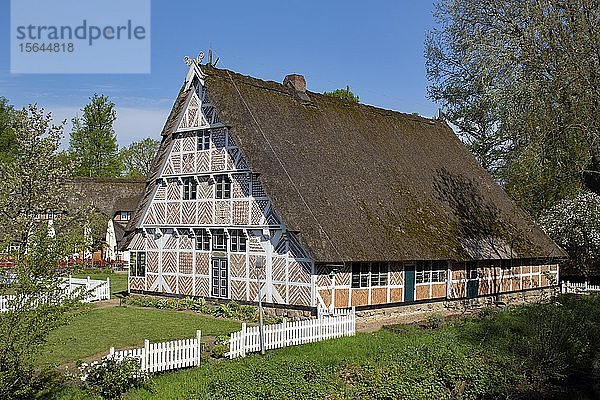 Altländer Bauernhaus  Fachwerkhaus mit Reetdach und niedersächsischem Giebel  Freilichtmuseum auf der Insel  Stade  Niedersachsen  Deutschland  Europa