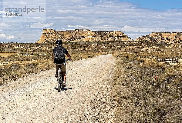 Radfahrer auf einer Straße in der Wüste Bardenas Reales  Navarra  Spanien  Europa