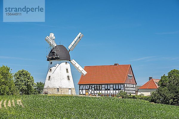 Bockwitzer Windmühle  auch Würchwitzer oder Suxdorfer Windmühle  Turmwindmühle  Zeitz  Sachsen-Anhalt  Deutschland  Europa