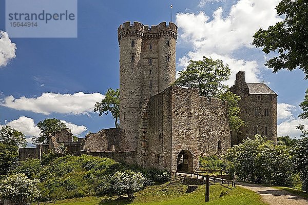 Kasselburg  Pelm  Vulkaneifel  Eifel  Rheinland Pfalz  Deutschland  Europa