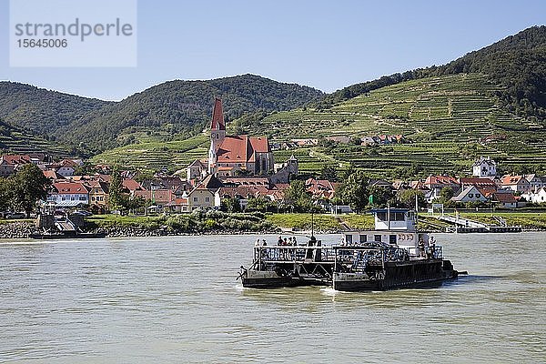 Rollfähre auf der Donau  Ortsansicht Weißenkirchen in der Wachau  Wachau  Niederösterreich  Österreich  Europa