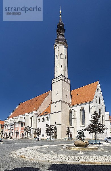 Klosterkirche und Klosterplatz mit Marktweiber-Brunnen  Zittau  Sachsen  Deutschland  Europa