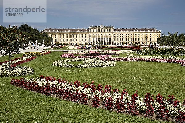 Blumenbeete vor dem Schloss Schönbrunn  Wien  Österreich  Europa