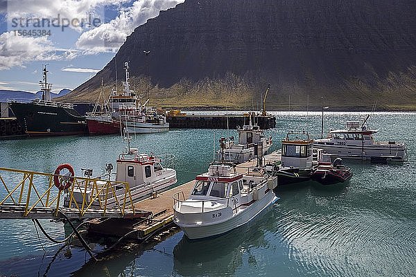 Schiffe  Fischerboote im Hafen von Bíldudalur  Westfjorde  Island  Europa