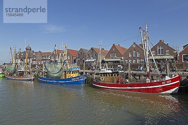 Bunte Krabbenkutter im Fischereihafen  Neuharlingersiel  Ostfriesland  Niedersachsen  Deutschland  Europa