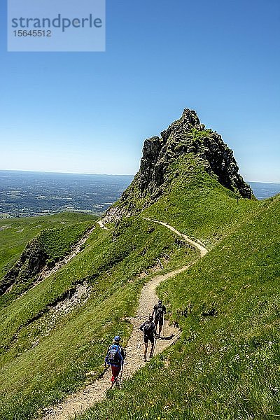 Wanderer unterwegs im Sancy-Massiv  Regionaler Naturpark Vulkane der Auvergne  Auvergne  Frankreich  Europa