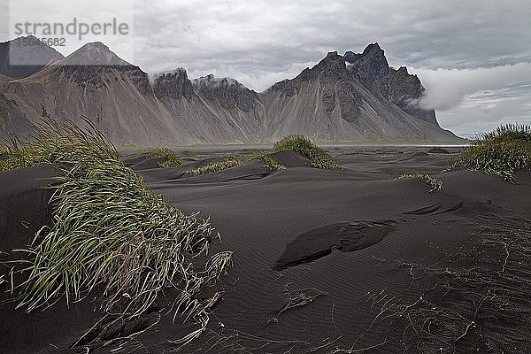 Schwarzer Lavastrand mit Dünen am Kap Stokksnes mit Berg Vestrahorn  Bucht Hornvik  Südost-Island  Island  Europa