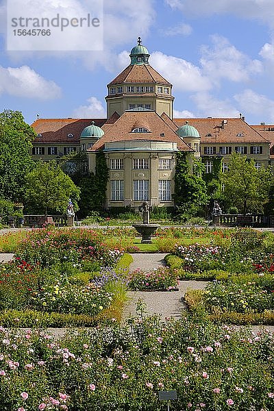 Historisches Botanisches Institut und Rosengarten  Botanischer Garten München-Nymphenburg  München  Oberbayern  Bayern  Deutschland  Europa