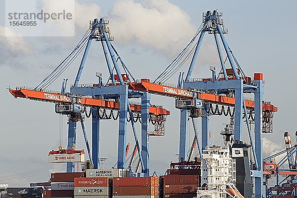 Containerterminal Burchardkai  Hamburg  Deutschland  Europa