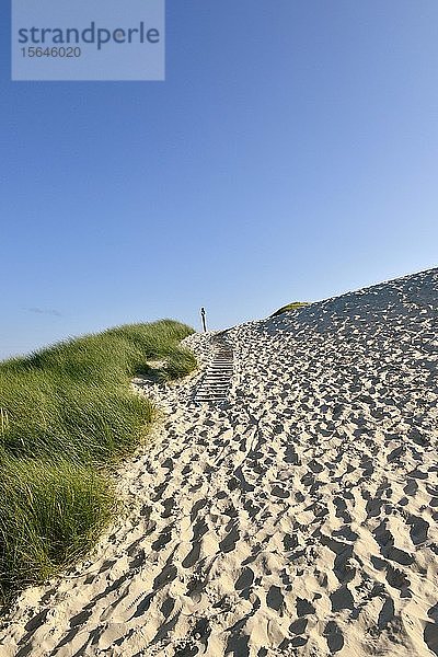 Fußspuren im Sand des großen Dünengebietes  Amrum  Nordfriesische Insel  Nordfriesland  Schleswig-Holstein  Deutschland  Europa