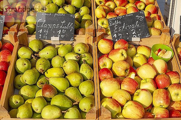 Frische Äpfel und Birnen mit Preisschildern in Holzkisten an einem Marktstand  Deutschland  Europa