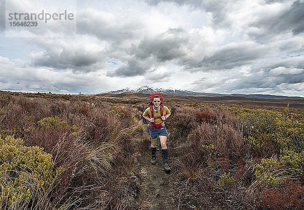 Wanderer auf dem Wanderweg Tongariro Northern Circuit  New Zealand Great Walks  Vulkan Mount Ruapehu  Tongariro National Park  Nordinsel  Neuseeland  Ozeanien