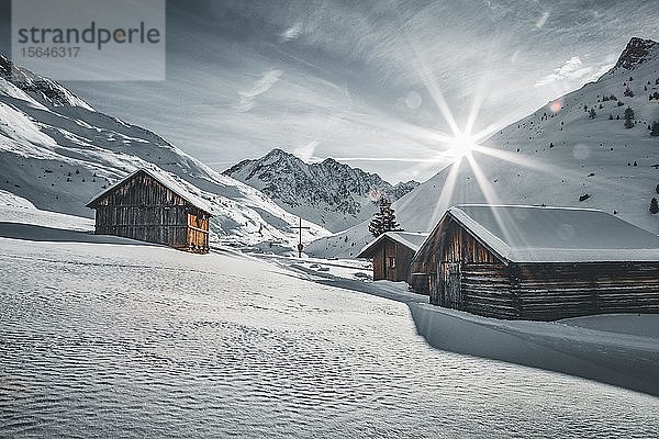 Schweinfurter Hütte im Winter  Tirol  Österreich  Europa