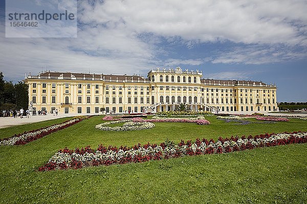 Blumenbeete vor dem Schloss Schönbrunn  Wien  Österreich  Europa