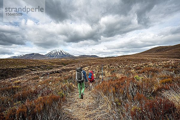 Wanderer auf dem Wanderweg Tongariro Northern Circuit  Great Walk  Vulkan Mount Tongariro und Mount Ngauruhoe  Tongariro National Park  Nordinsel  Neuseeland  Ozeanien